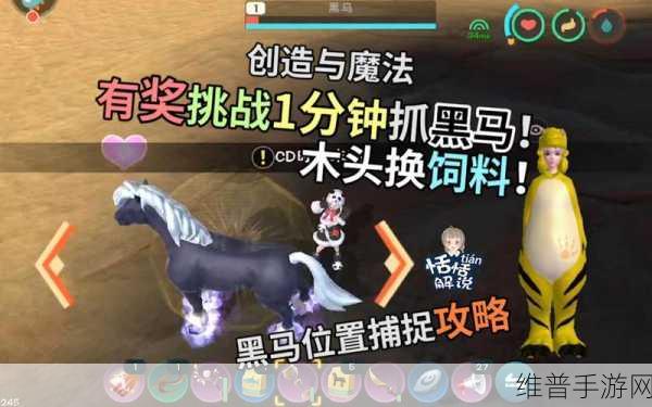 创造与魔法手游攻略，揭秘黑马出没位置与捕捉技巧