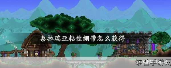 泰拉瑞亚止血绷带获取秘籍大公开