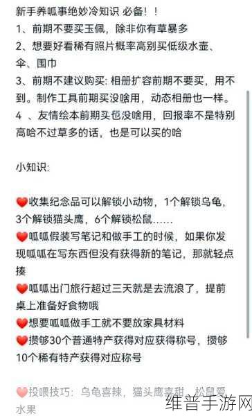 旅行青蛙稀有明信片获取全攻略,解锁蛙儿子的奇妙旅程