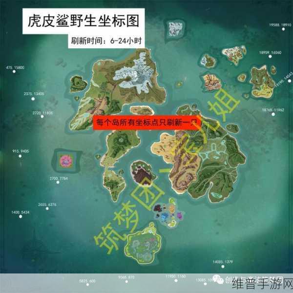 创造与魔法，轻松获取虎皮鲨秘籍大公开