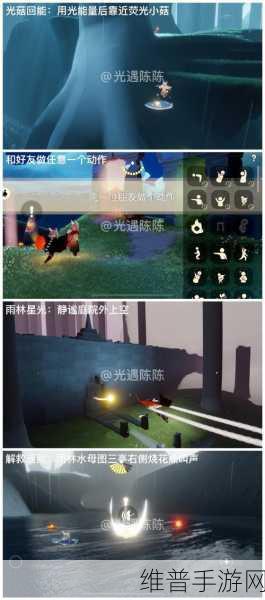 光遇探索指南,雨林树屋小队先锋位置详解