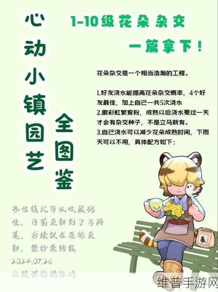 心动小镇举小红旗表情获取秘籍大公开