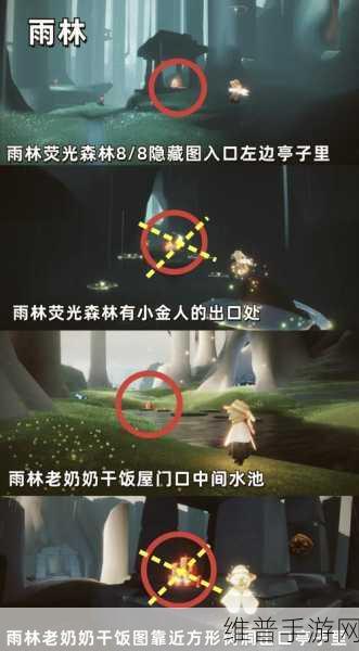 探索光遇奇妙世界，揭秘雨林静谧庭院位置与玩法攻略