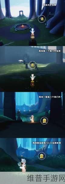 探索光遇奇妙世界,揭秘雨林静谧庭院位置与玩法攻略