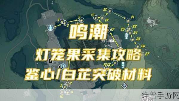 鸣潮手游灯笼果采集全攻略路线汇总