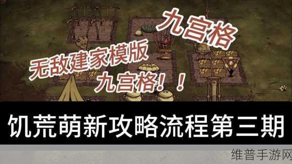 饥荒手游深度攻略，养鸟VS乌鸦，哪个更胜一筹？