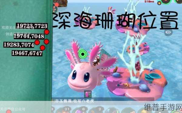 创造与魔法，深海珊瑚寻觅指南与全面解析