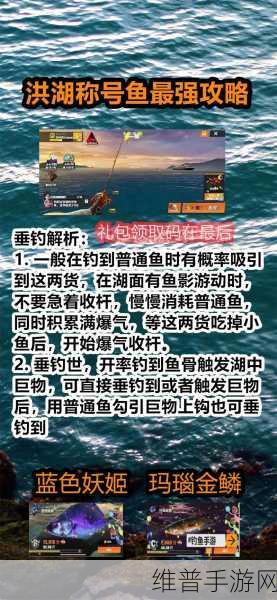 欢乐钓鱼大师金箱子开启秘籍大公开