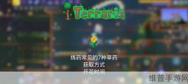 泰拉瑞亚蓝马掌气球获取攻略,解锁你的二段跳与跌落免疫神器