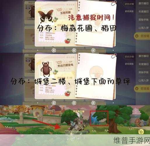 摩尔庄园周年刊脚印寻觅指南,三大脚印位置详解