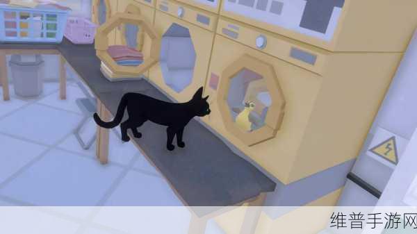 小猫咪大城市传送门解锁秘籍大公开