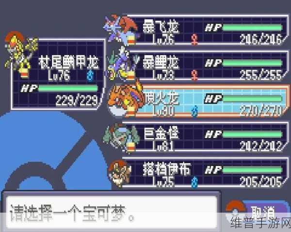 宝可梦大集结巨金怪玩法全攻略