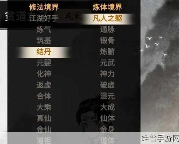 一念逍遥修法攻略，全面解析修法优缺点