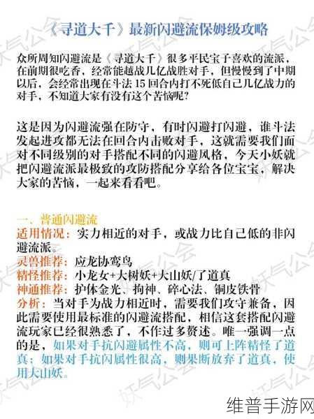 寻道大千闪避减伤流极致搭配攻略全解析