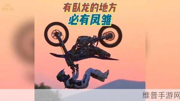 卧龙与凤雏，深度解析与完美攻略大全