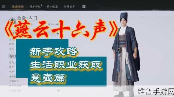 燕云十六声良人胡不归任务全解析