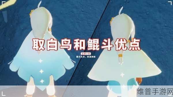 光遇鲲斗篷获取攻略，揭秘背后有小尾巴的斗篷兑换细节