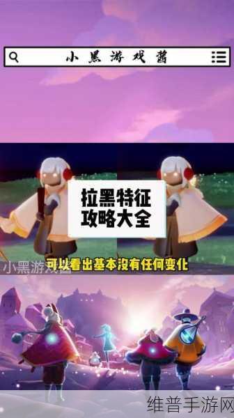 光遇手游攻略，如何巧妙判断好友是否将你拉黑？