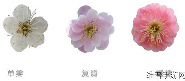 文字玩出花鉴定宝物关卡通关秘籍大揭秘