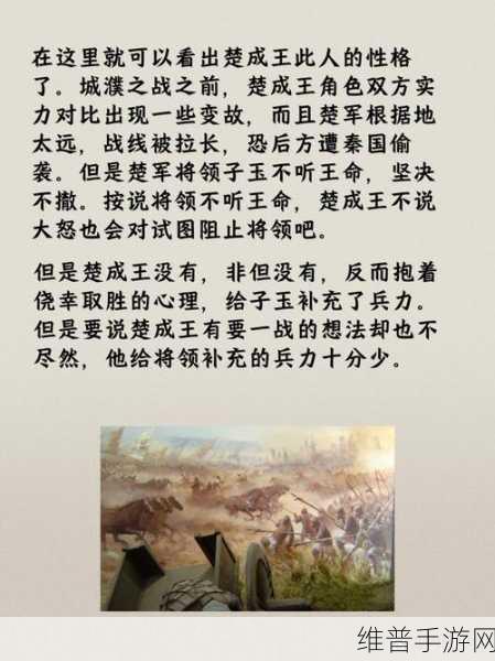 探析攻城掠地非凌弱，历史游戏竞争哲学的深度内涵