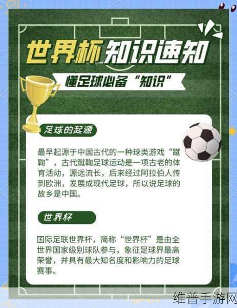 辉煌足球世界之旅，深度副本攻略与最新赛事亮点全解析