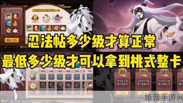 火影忍者手游忍法帖第二赛季深度玩法指南