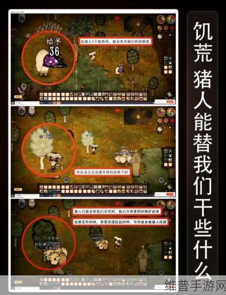 饥荒，新家园巧妙拆除猪人房子秘籍