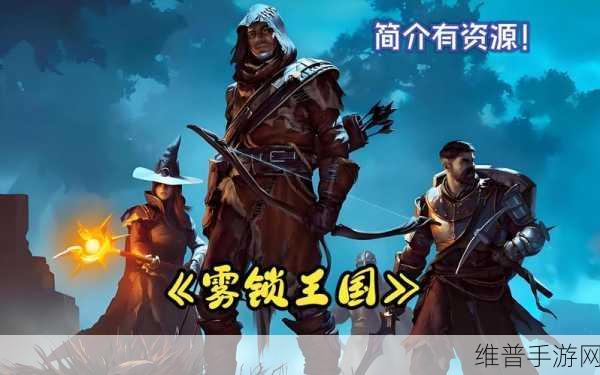 深度解析雾锁王国，独特的游戏类型与魅力