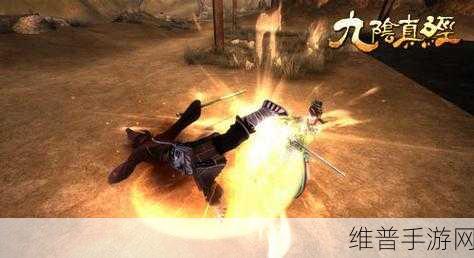 射雕手游，丐帮棍法技能的精妙组合策略