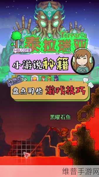 泰拉瑞亚快速钓鱼技巧全解析，助你高效捕获鱼类资源