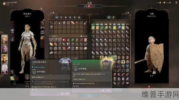博德之门3盖尔加点全攻略，打造你的强力法师伙伴