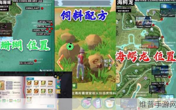 创造与魔法手游深度攻略，揭秘海鳄龙位置分布与捕捉技巧
