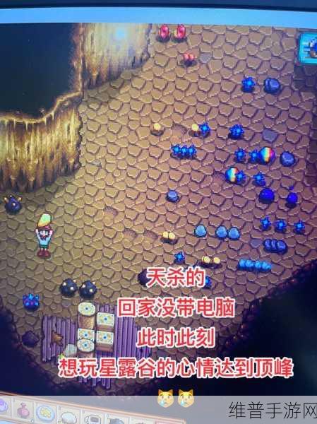 星露谷物语夏威夷宴会全攻略，结束时间及更多关键细节