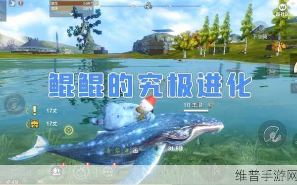妄想山海鲲的进化丹获得方法详解,全面攻略助你轻松获取与使用