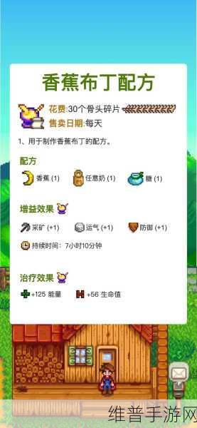星露谷物语姜岛小男孩对话全攻略秘籍