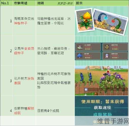 创造与魔法新农耕系统全方位指南