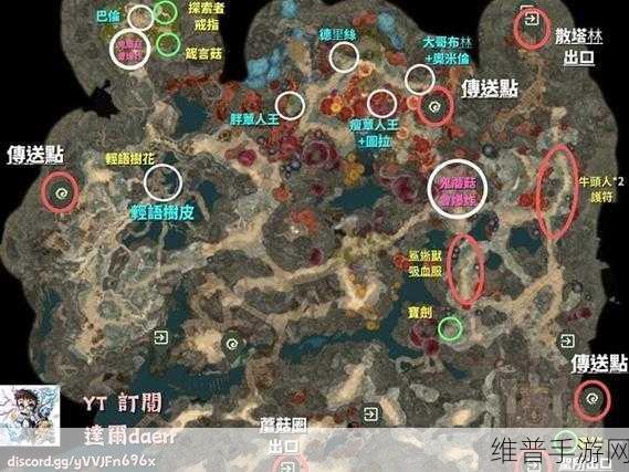 博德之门3深度攻略，疗愈软帽获取全解析