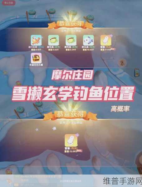 摩尔庄园手游，探寻肥头鹅的垂钓秘诀