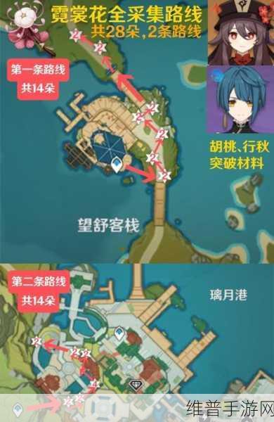 原神玩家必看，霓裳花采集点全攻略