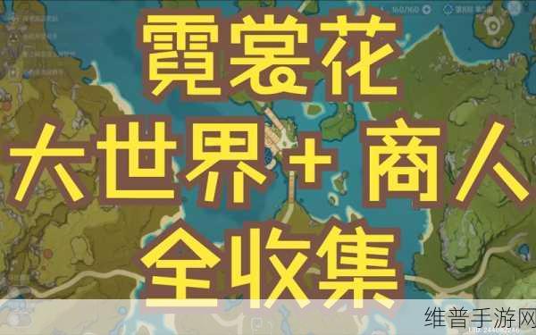 原神玩家必看，霓裳花采集点全攻略