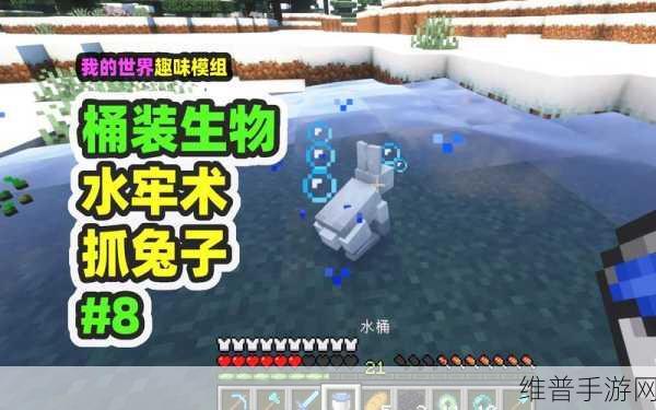 我的世界手游攻略，详解如何养殖海豚