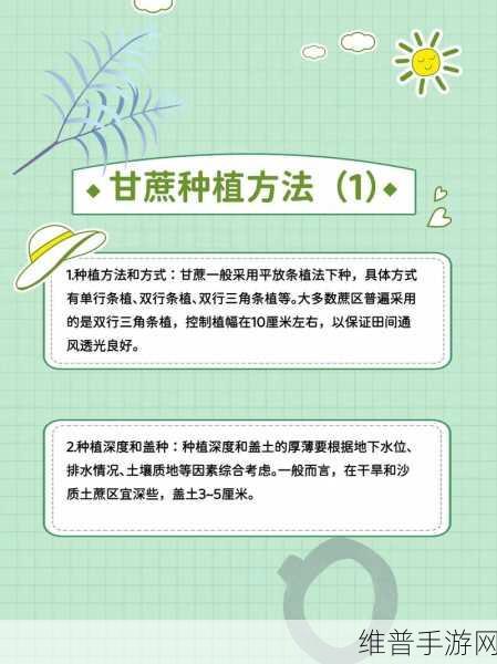 迷你世界甘蔗种植全攻略，打造你的甜蜜农场