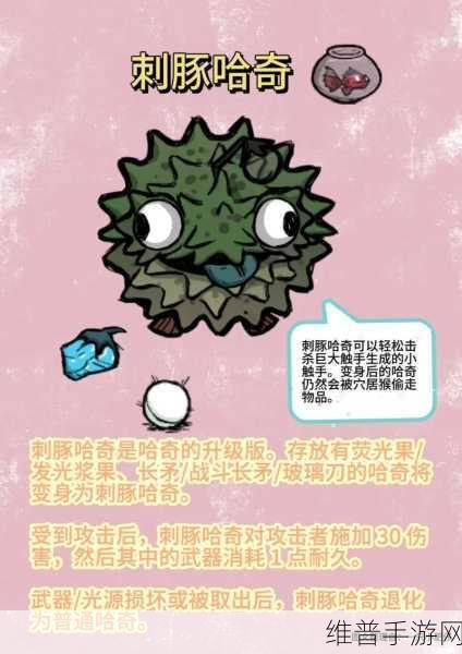 饥荒哈奇深度解析，神秘洞穴伙伴的全面生存攻略