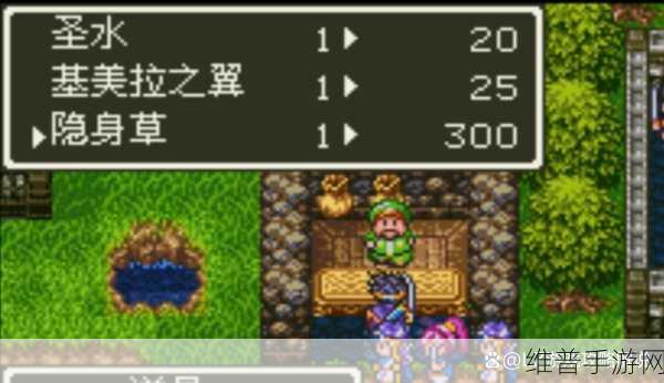 SFC勇者斗恶龙3中文版全面攻略指南