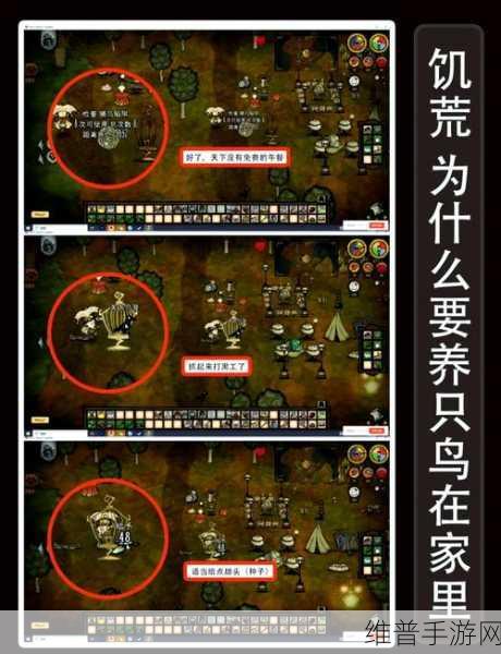 饥荒手游高效刷木头攻略,木材获取全解析