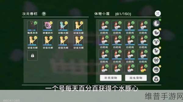 创造与魔法,云斑鹦鸟饲料配方全解析