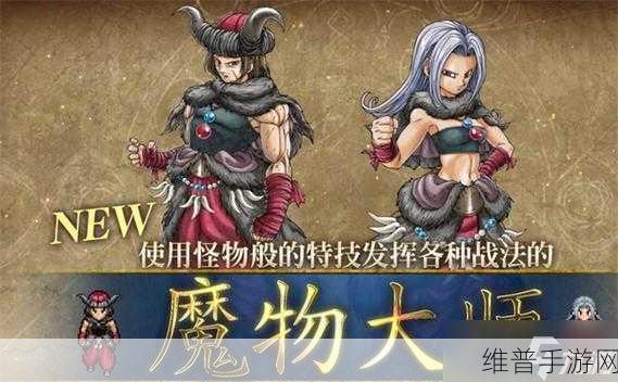 勇者斗恶龙 3欧特伽队伍的完美搭配秘籍