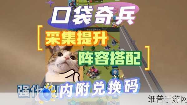 口袋奇兵，高效利用调动申请书刷新时间策略指南