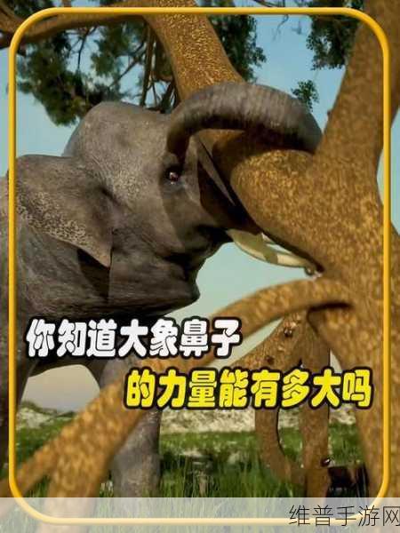 疯狂动物园中大象的无敌撞击力量