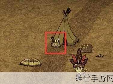 饥荒手游宠物小猫全攻略，解锁小猫的奇妙用途